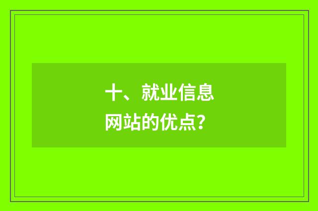 十、就业信息网站的优点?