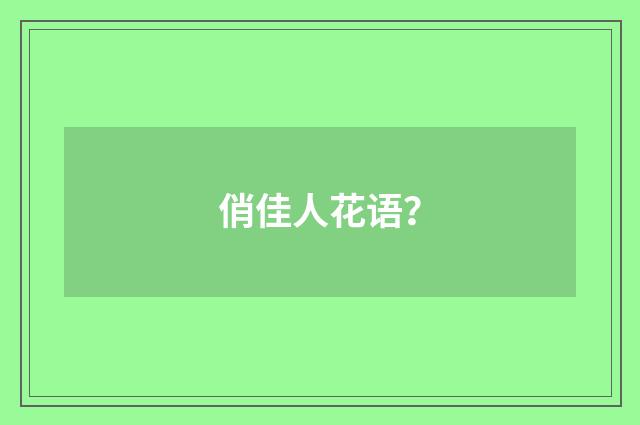 俏佳人花语？