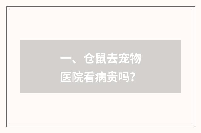 一、仓鼠去宠物医院看病贵吗？