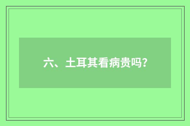 六、土耳其看病贵吗？