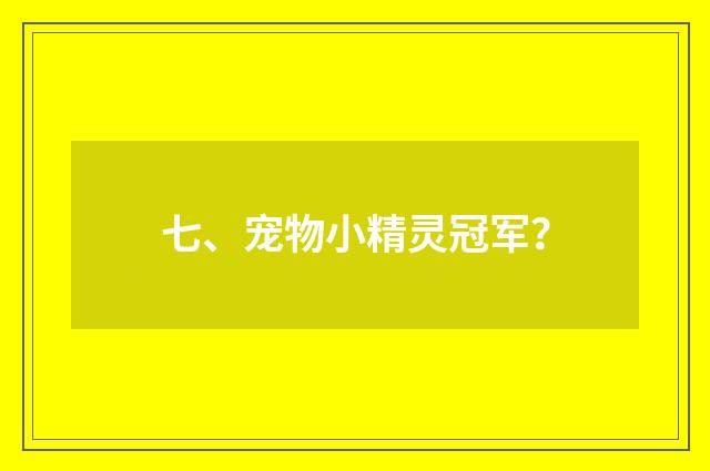 七、宠物小精灵冠军？