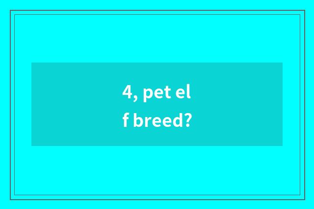 4, pet elf breed?