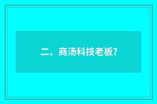 二、商汤科技老板?