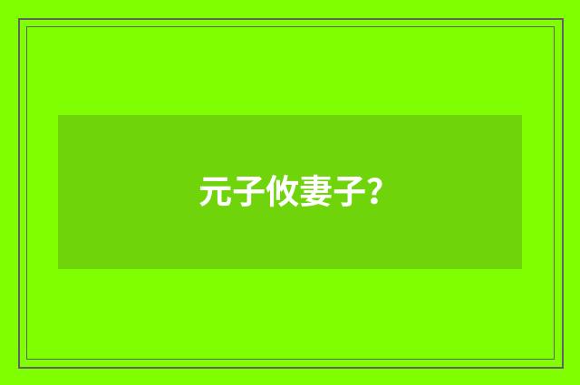 元子攸妻子？