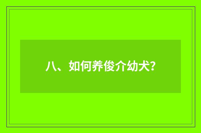 八、如何养俊介幼犬？