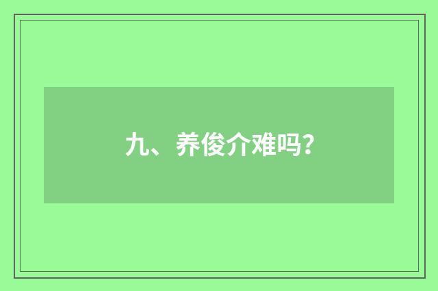 九、养俊介难吗?