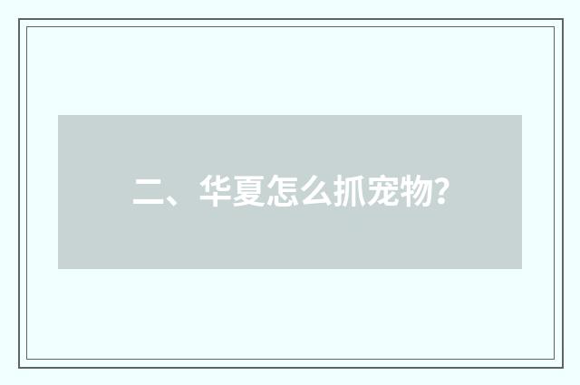 二、华夏怎么抓宠物？