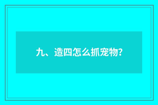 九、造四怎么抓宠物？