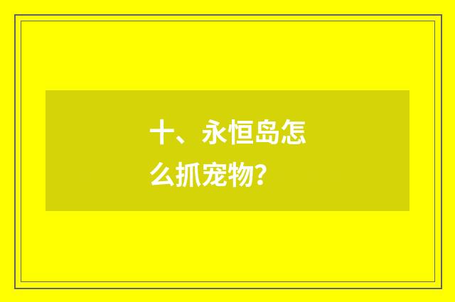 十、永恒岛怎么抓宠物？