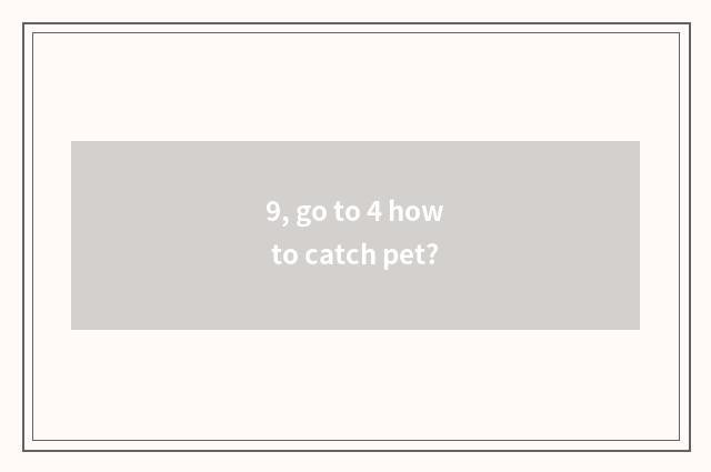 9, go to 4 how to catch pet?