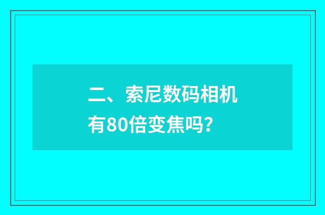 二、索尼数码相机有80倍变焦吗？