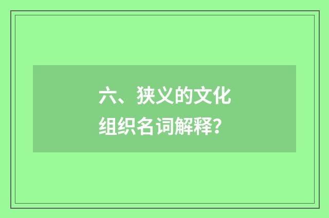 六、狭义的文化组织名词解释？