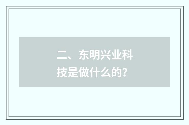 二、东明兴业科技是做什么的?