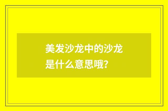 美发沙龙中的沙龙是什么意思哦？