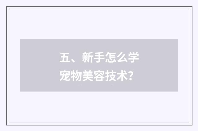 五、新手怎么学宠物美容技术？
