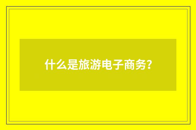 什么是旅游电子商务？