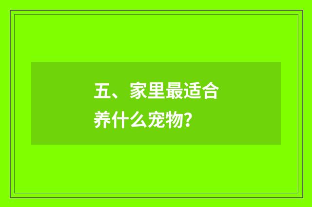 五、家里最适合养什么宠物？