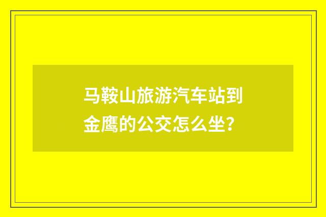 马鞍山旅游汽车站到金鹰的公交怎么坐？