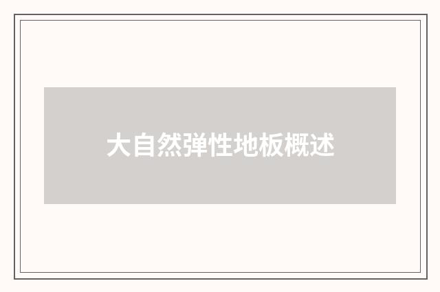 大自然弹性地板概述