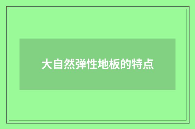 大自然弹性地板的特点