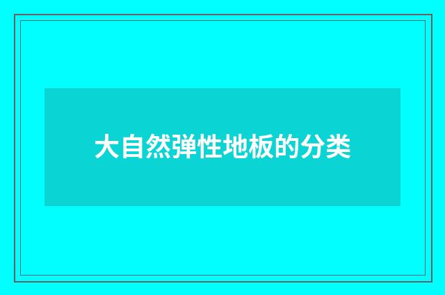 大自然弹性地板的分类