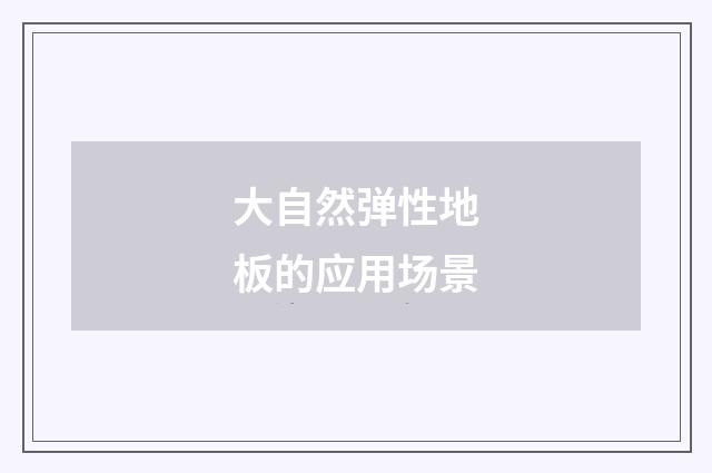 大自然弹性地板的应用场景