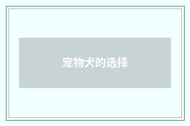 宠物犬的选择