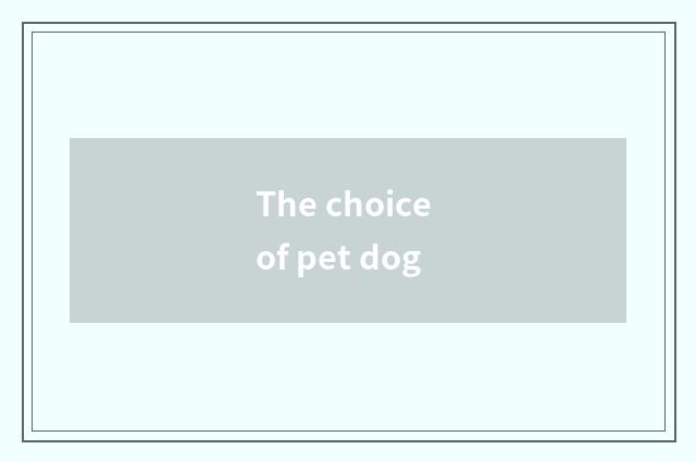 The choice of pet dog