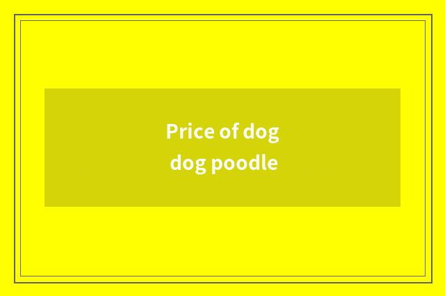 Price of dog dog poodle