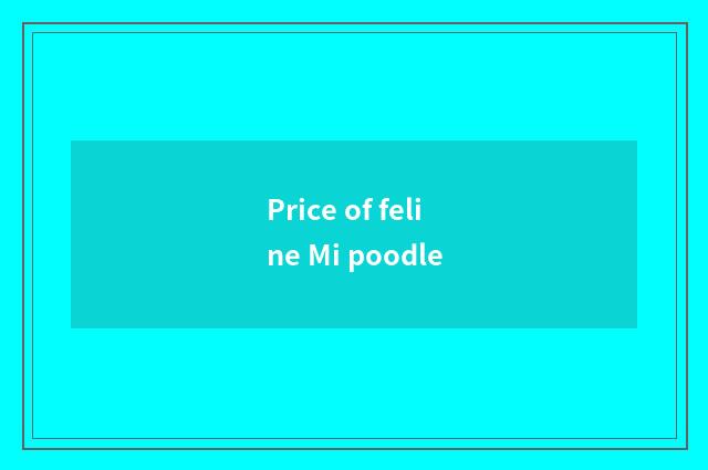 Price of feline Mi poodle