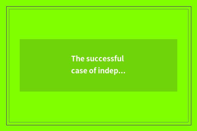 The successful case of independent game