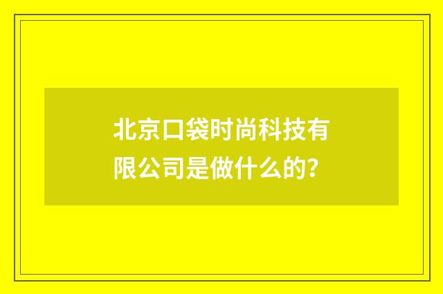 北京口袋时尚科技有限公司是做什么的？