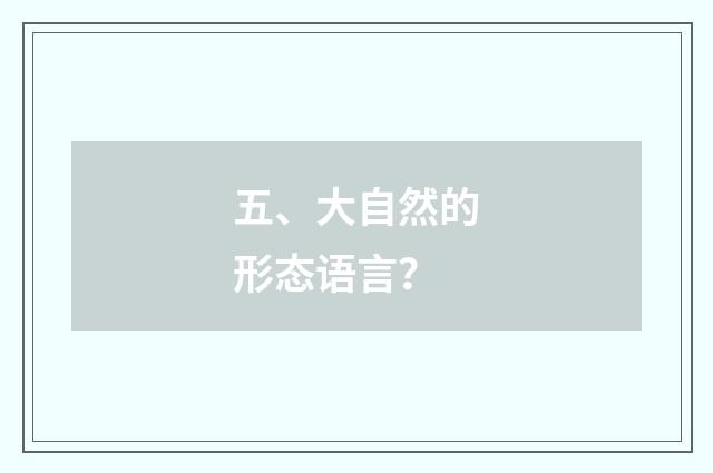 五、大自然的形态语言？