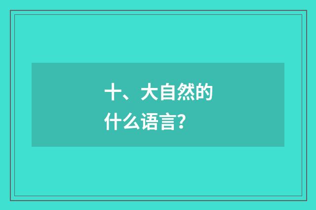 十、大自然的什么语言？