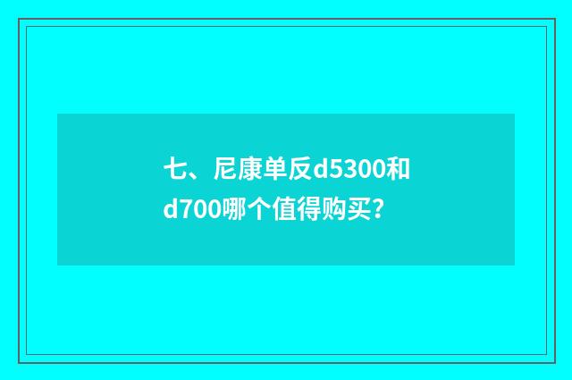 七、尼康单反d5300和d700哪个值得购买？