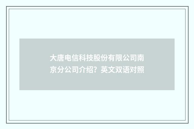 大唐电信科技股份有限公司南京分公司介绍？英文双语对照