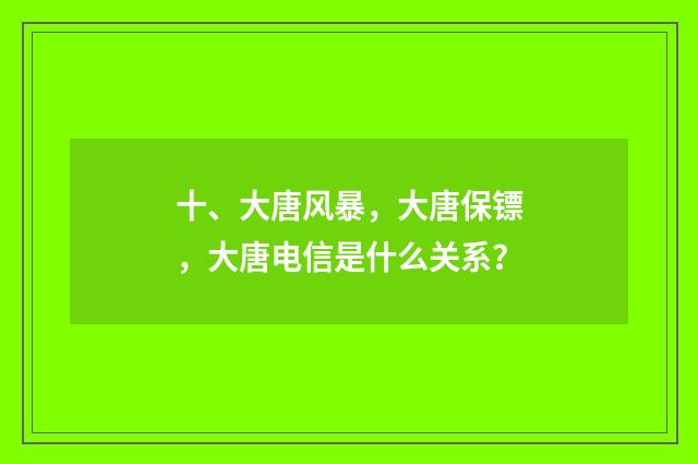 十、大唐风暴,大唐保镖,大唐电信是什么关系?