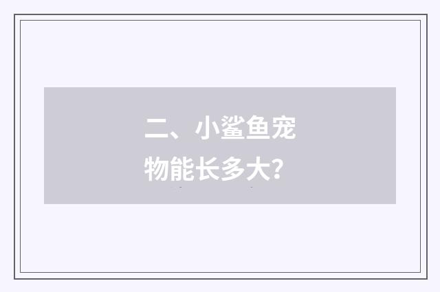 二、小鲨鱼宠物能长多大？