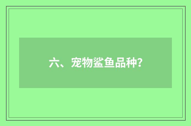 六、宠物鲨鱼品种？