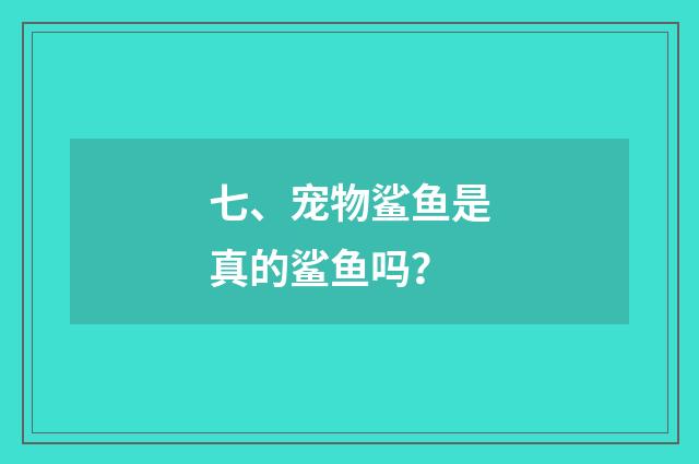 七、宠物鲨鱼是真的鲨鱼吗？