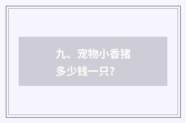九、宠物小香猪多少钱一只？