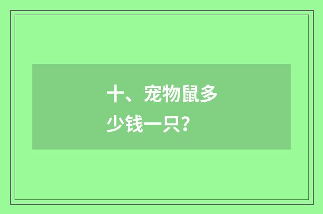 十、宠物鼠多少钱一只？