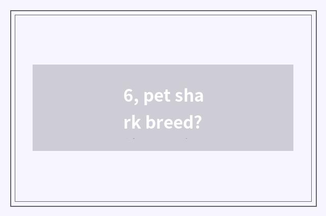 6, pet shark breed?