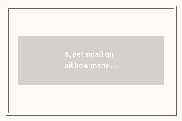 8, pet small quail how many yuan?