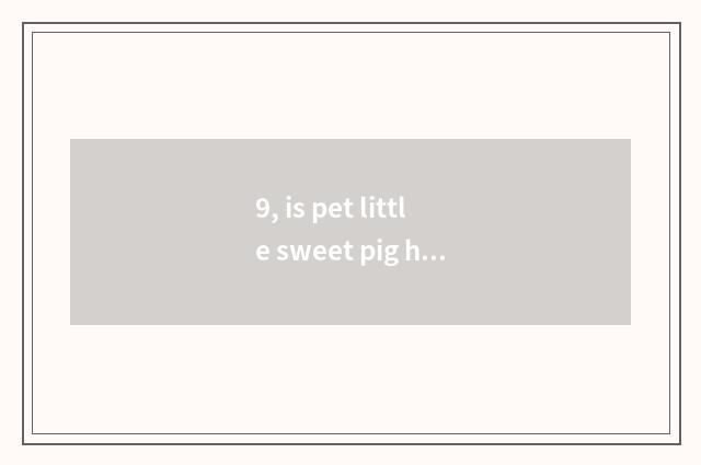 9, is pet little sweet pig how many money?