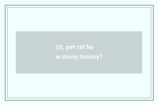 10, pet rat how many money?