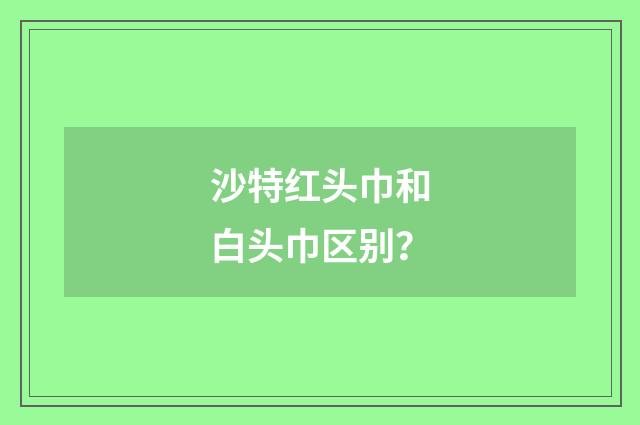 沙特红头巾和白头巾区别？