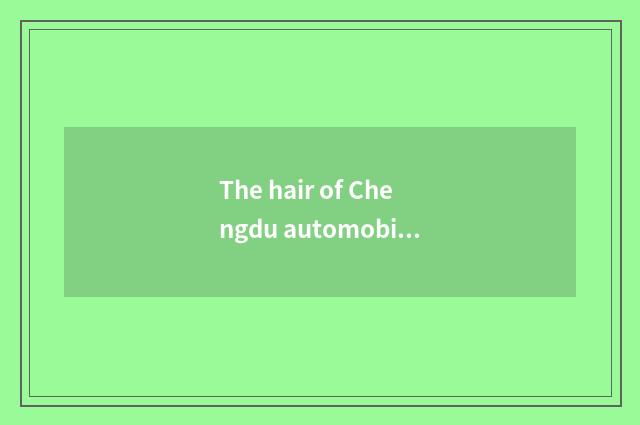 The hair of Chengdu automobile industry develops form