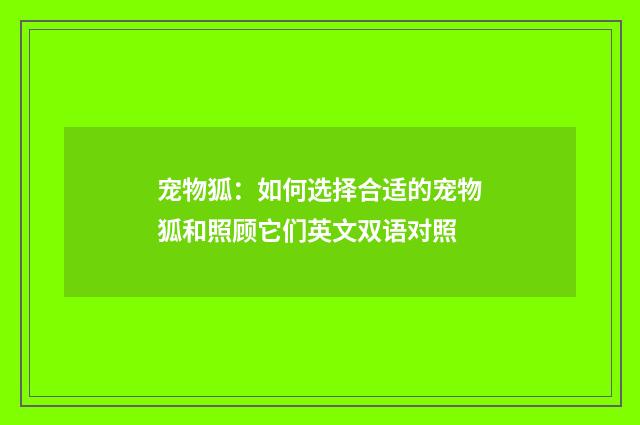 宠物狐:如何选择合适的宠物狐和照顾它们英文双语对照