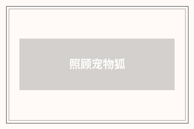 照顾宠物狐